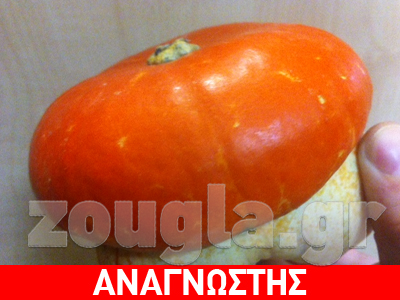 Το περίεργο κολοκύθι από την Κρήτη