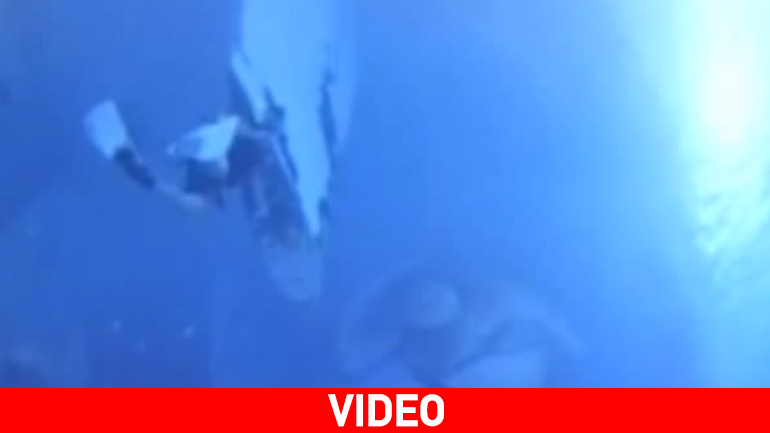 Δύτες παραλίγο να σκοτωθούν από προπέλα κρουαζιερόπλοιου!