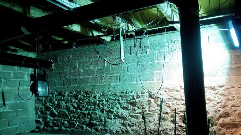 Συνέλαβαν αδερφό ηθοποιού για καλλιέργεια χασίς