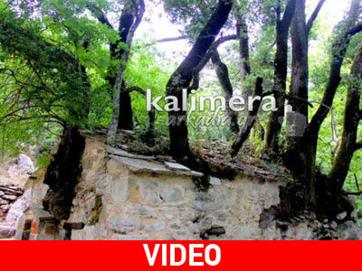 Aρκαδία: Το ανεξήγητο φαινόμενο με τα δένδρα στη σκεπή της Αγίας Θεοδώρας