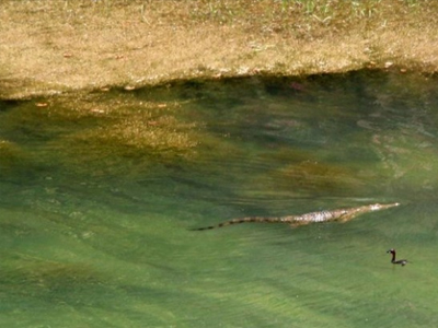 Ο Σήφης κόβει βόλτες…