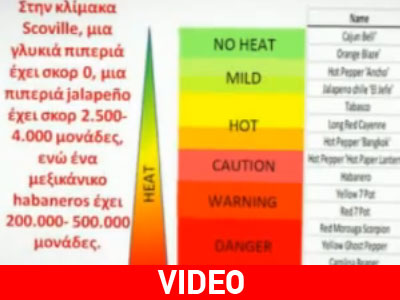 Πιπεριά καυτή σαν το καλοκαίρι μας…