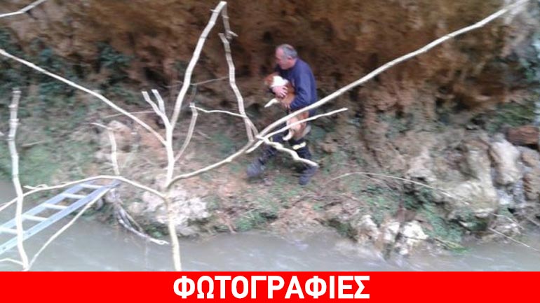 Πυροσβέστες στη Βέροια έσωσαν σκυλάκι που έπεσε σε ποτάμι