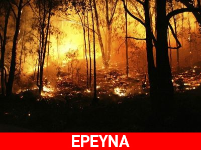 Αύξηση κατά 19,7% των πυρκαγιών από τις αρχές του 2012