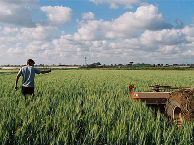 Αγροτικό πριμ 50.000 ευρώ σε νέους που θα επιστρέψουν στο… χωράφι