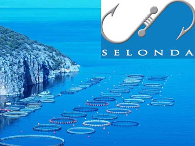 Στις τράπεζες το 82% των μετοχών της Σελόντα