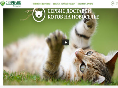 Mε το στεγαστικό δάνειο παίρνoυν δώρο… μια γάτα!