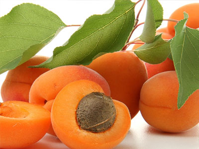 Βερίκοκα: διαβιβάζουν το οξυγόνο