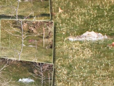 Αναλαμβάνει δράση διάσημος «γητευτής» για να πιάσει τον… Σήφη