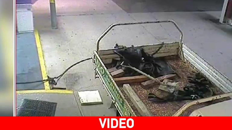 Ο πιο ανόητος κλέφτης βρίσκεται στην Αυστραλία…