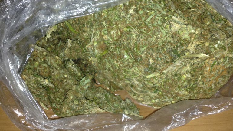 Λάρισα: Σύλληψη 52χρονου για καλλιέργεια και κατοχή ναρκωτικών