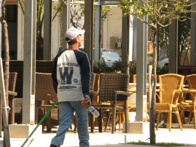 Μάζεψαν τα νεράντζια της «οργής» Μάζεψαν τα νεράντζια της «οργής»