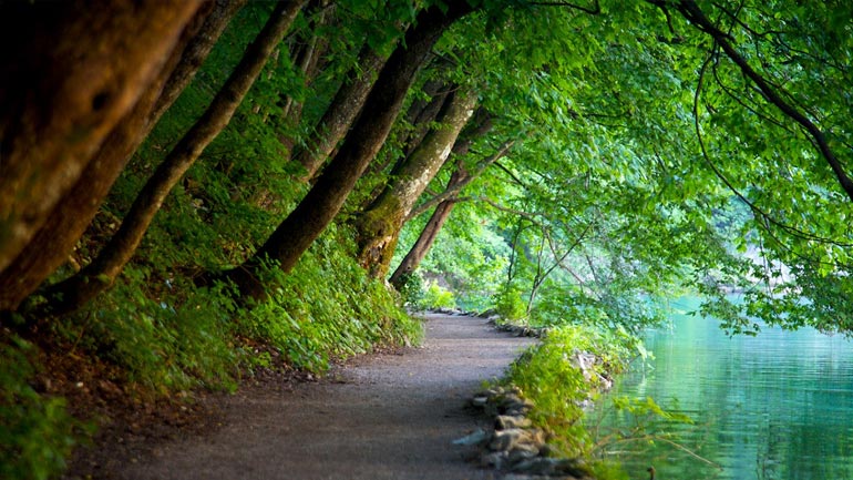 Εθνικό Πάρκο μόνο με… Προεδρική βούλα