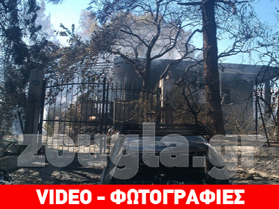 Φωτορεπορτάζ από τα καμένα στον Μαραθώνα