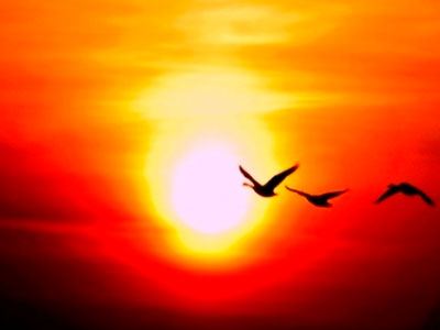 Ο πιο θερμός Αύγουστος από το 1881 ήταν ο φετινός