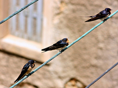 Συντάξεις μετά τις εντεκάμιση