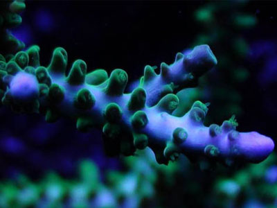 Eσείς πόσα βακτήρια φάγατε σήμερα;