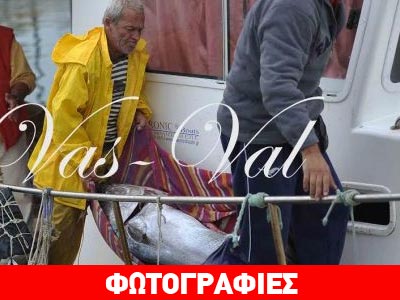 Ψάρεψαν μουρούνα 73 κιλών στον Κορινθιακό!