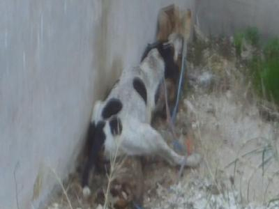 Εικόνες που σοκάρουν!