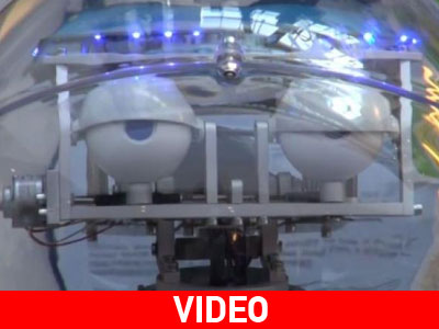 «Μπόρις»: Το δεξί χέρι της νοικοκυράς