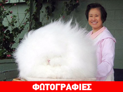 Το πιο χνουδωτό κατοικίδιο…