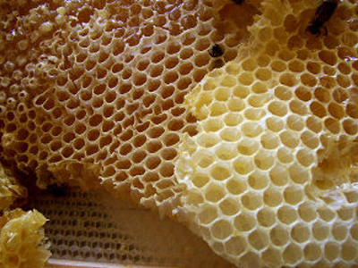 Επανεξέταση των κανόνων για εισαγωγή μελιού