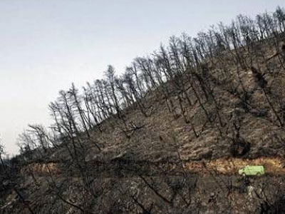 Αποζημιώνουν τους πυρόπληκτους με καθυστέρηση επτά ετών