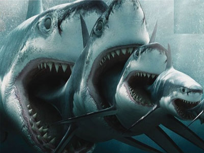 Έρευνα για την εξαφάνιση του μεγαλόδοντα καρχαρία