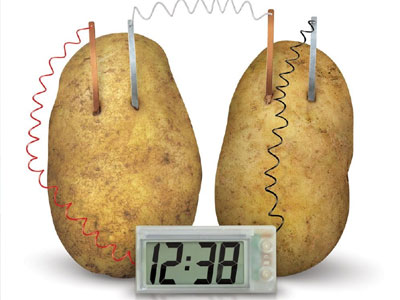 Αταλάντη: «Εκρηκτικό» φορτίο με πατάτες