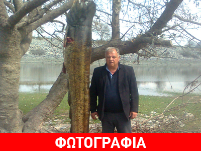 Ψάρεψαν γουλιανό 167 κιλών