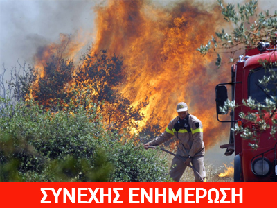 Μεγάλη πυρκαγιά στην Κασσάνδρα Χαλκιδικής