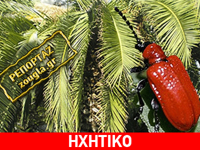 Πώς αντιμετωπίζεται η «κόκκινη» απειλή