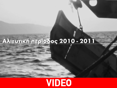 Η Greenpeace στον «τόπο του εγκλήματος»