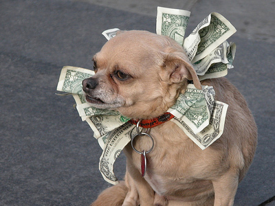 Ο σκύλος-κληρονόμος των 2 εκατ. ευρώ