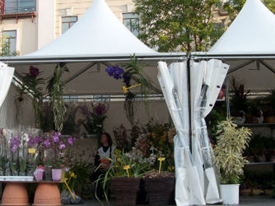 Πρασινίζει το κέντρο της Αθήνας