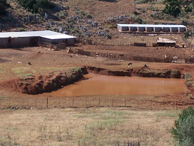 Τον πήρανε χαμπάρι…