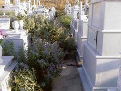 Εκταφές λόγω χρεών