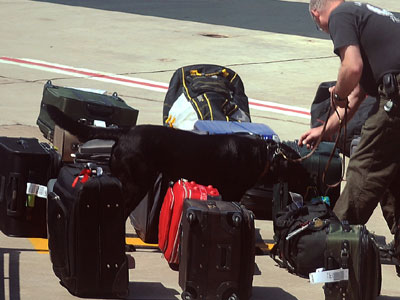 Εισαγωγή ναρκωτικών μέσω…  «Ελ. Βενιζέλος»