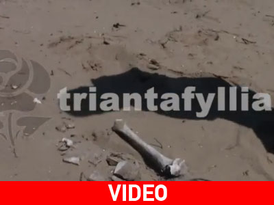 Μυστήριο με οστά που βρέθηκαν στην Ήλιδα