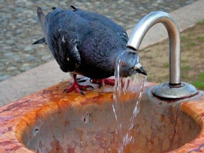 Οδηγίες για την προστασία σας από τον καύσωνα