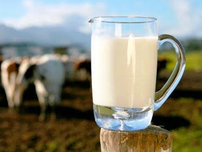 Με «σήμα» θα πωλείται το ελληνικό γάλα