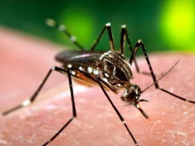 Αίρεται η απαγόρευση πώλησης gadget της Apple