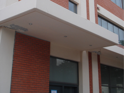 Έλεγχοι για την ανίχνευση κρέατος αλόγου σε προϊόντα που περιέχουν βόειο κρέας