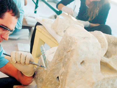 Τα κλειστά επαγγέλματα που ανοίγουν από τον νέο χρόνο Τα κλειστά επαγγέλματα που ανοίγουν από τον νέο χρόνο