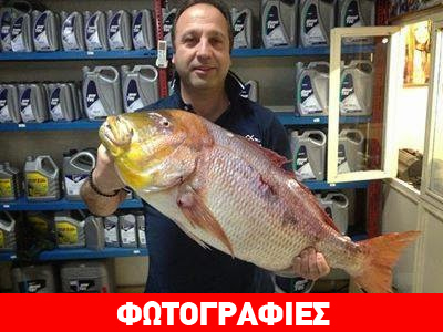 Ψάρεψαν συναγρίδα 16 κιλών