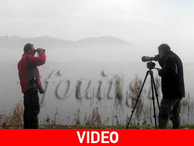 Kαταμετρήσεις των πουλιών της λίμνης Kαστοριάς