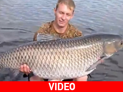 Ψάρι 29 κιλών στο Τσερνόμπιλ