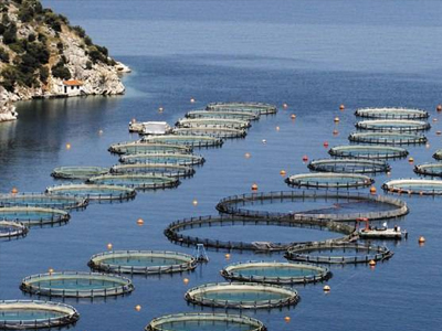 Ενισχύει τη θέση της στην Τουρκία η Σελόντα