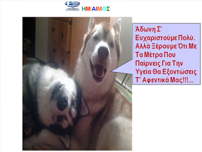 Τα αδέσποτα γαβγίζουν στον Άδωνι