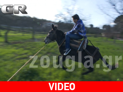 Βασίλη, πονάς;